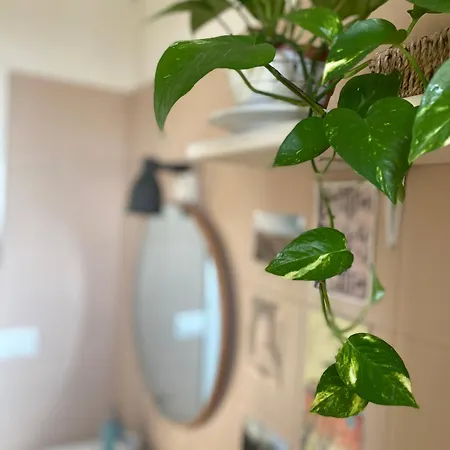 Placidia Bed & Breakfast Ravenna