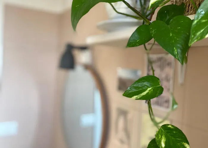 Placidia Bed & Breakfast Ravenna